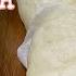 SIOPAO BOLA BOLA RECIPE ALA CHOWKING FLUFFY AND WHITER SIOPAO DOUGH