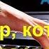 Видеоурок на синтезаторе Киреев Мир который подарил тебя