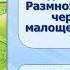 Тип Кольчатые черви Тема 9 Малощетинковые черви Среда обитания внешнее и внутреннее строение