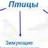 Птицы для детей 7 лет Мой Логопед