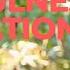 Mindfulness Meditation By Mooji