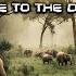 Dance To The Drums Mix 2024 Afro House Melodic House Tech House Deep House By DJ E