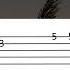 HOUSE OF THE RISING SUN Facil Easy Cover Guitar Tab