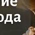 Упование на Господа Ефремов И Г Беседа МСЦ ЕХБ