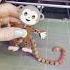 Flexi Articulated Monkey