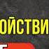 Стоическая мудрость как обрести покой в хаотичном мире