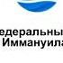 Знакомство с ультразвуковым сканером часть 2