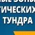 Природные зоны России Зона арктических пустынь Тундра