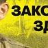 Є ЩО СКАЗАТИ Золота піхота АЗОВу про командування СЗЧшників та зарплату військових