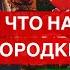 САМОЕ БОЛЬШОЕ ОЗЕРО В КОРЕЕ ИЛЬСАН ПАРК В ГОЯНЕ