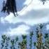 PINK FLOYD THE ENDLESS RIVER FULL ALBUM Tribute Part 5 Of 10 HOUR RELAXING MUSIC By Cave Of Creation