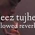 Dil Cheez Tujhe Dedi Slowed Reverb