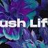 NALYRO Lush Life VIP 2023