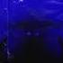 DARKNESS IN ELDORADO Prometheus VNREP005