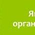 Біологія 7 клас Балан 5 Які є типи організації клітин