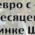 Ферма 250 тысяч евро с 4 5 гектар за 6 месяцев