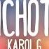 Karol G Bichota Letra Lyrics