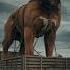 Big Dog Transformation