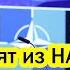 Срочно США выходят из НАТО В ключевой момент Европу бросили одну Стоит ли радоваться России