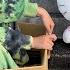 まいご ハローキティとじゅたろうくん まいごの子猫のおうちを探せ