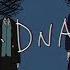 秋葵AKIAOI 眩しいDNAだけ 只是耀眼的DNA 眩しいDNAだけ
