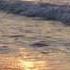 Setting Sun Brian Lucas Project