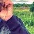 Живи для себя пока не поздно Систему на х