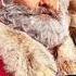 Santa Claus Is Back In Town Kurt Russell The Christmas Chronicles