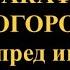 30 октября Акафист Пресвятой Богородице перед иконой Избавительница