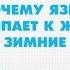 Почему язык прилипает к железу и другие зимние вопросы Научпок