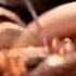 Centipede Vs Snake National Geographic