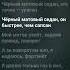 Текст песни Чёрный Матовый Седан Какой текст песни снять дальше