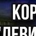 Человек не цифра Единая биометрическая система В чём опасность Протоиерей Андрей Ткачёв