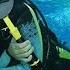 NOKTA PULSE DIVE SCUBA Detector Noktadetector Scubadetector Underwaterdetector Güraydetector