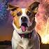 DOG TV Video Relaxing Calm Music To Helps Dogs Reduce Anxiety From Fireworks Bangs Music For Dog