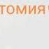 Урок биологии 1 Анатомия человека Науки о человеке