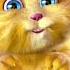 Talkingtomcomedy Rainbow Catviral Cute Cat