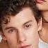 Ringtone Senorita Song Ringtone Video Shawn Mendes Camila Cabello Ringtone Senorita 2022