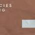 Lost Frequencies Zonderling Crazy Kolombo Remix