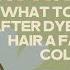 Vivid Hair Help What To Expect After Dyeing Your Hair A Fantasy Color