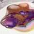 Sheleeart Acrylic Pouring Testing Out The Tri Art Liquid Paint For Cell Activator