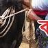 Bhai Koto Nilo 2025 Ashulia Gorur Haat Qurbani Cow Price 2025 Cattle Market Update Part 03