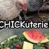 Aldi Has Some Good Deals So We Spoiled The Ladies Chickens Chickuterie Chickentreats