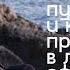 Что дает практика шаманского путешествия в жизни и как ее применять в ежедневных делах