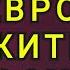 В ЕВРОПЕ ЖИТЬ ОПАСНО СЛУЧАЙ ИЗ ЖИЗНИ