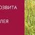 ВЕЛИКИЙ ОБМАН ВЫДУМАННАЯ ИСТОРИЯ ЕВРОПЫ ТОППЕР УВЕ АУДИОКНИГА ГЛАВА 3