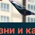 Тобольск Нижнекамск Свободный города для жизни и карьеры