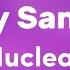 Leroy Sanchez Nuclear Lyrics