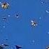 BUTTERFLIES Piano Sonata Tony Anderson