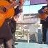 Mariachi Mexico Tijuana Music Travel Explore Culture Goodvibes